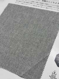 KYC436-D-1 和紙色織楊柳 Takashima Chijimi[布料] 小紋工房(宇仁纖維) 更多照片