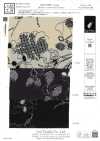 KKP3338-D64 二越絲縐®