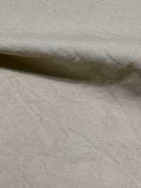 OJE253383 水洗加工棉平紋布[布料] 小原屋纖維 更多照片