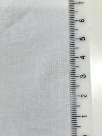 28119 80線精紡細布鹽縮印花點狀圖案[布料] SUNWELL 三維爾 更多照片