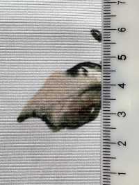 KDP8712-58-DD-563 霧面羅緞寬幅噴墨列印[布料] 小紋工房(宇仁纖維) 更多照片