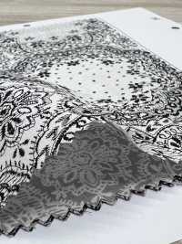 7026-1600-6 80/240 場蕾絲[布料] HOKKOH北高 更多照片