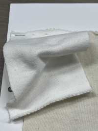 W-48377 Vintage Champion 毛圈布 II[布料] Minami 更多照片