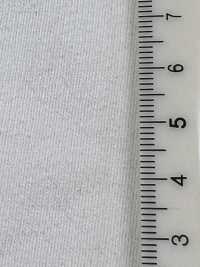 W-48377 Vintage Champion 毛圈布 II[布料] Minami 更多照片