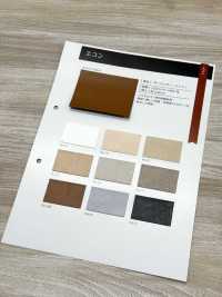 GINGA-070 經濟學[布料] GINGA 更多照片