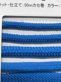 2AY 柔性 4.2 毫米[緞帶、帶、繩子] Cordon 更多照片