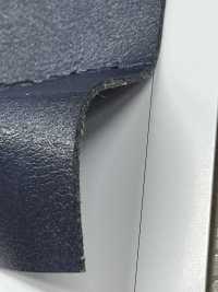 JACK CARINA [布料] 長井撚線 更多照片