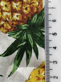 4247 平紋布時尚放鬆菠蘿[布料] VANCET 更多照片