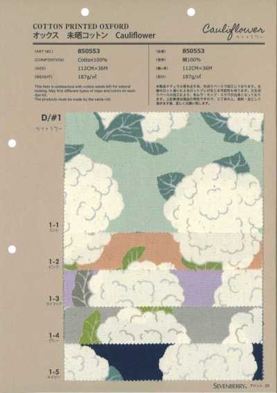 850553 牛津 未漂白 棉 Cauliflower