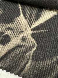 DCL755-SF 16W燈芯絨裝飾[布料] 雲井美人（中部別珍） 更多照片