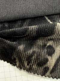 DCL755-SF 16W燈芯絨裝飾[布料] 雲井美人（中部別珍） 更多照片