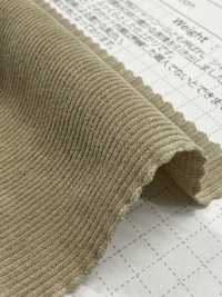 SBC4040 21W 燈芯絨襯衫，燈芯絨水洗加工[布料] 柴屋 更多照片