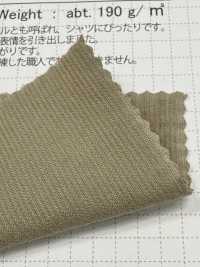 SBC4040 21W 燈芯絨襯衫，燈芯絨水洗加工[布料] 柴屋 更多照片