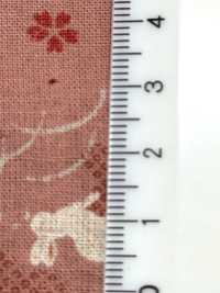 B88218Z 日式坯布，對折[布料] VANCET 更多照片