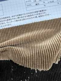 ND7035 棉/莫代爾 9W燈芯絨Nidom 生物處理[布料] 雲井美人（中部別珍） 更多照片