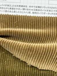 ND7025 Shankar 9W 有機燈芯絨生物加工[布料] 雲井美人（中部別珍） 更多照片