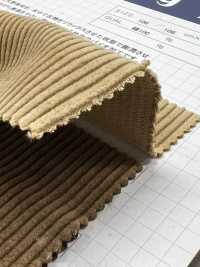 ND7005 9W 燈芯絨燈芯絨Nidom 生物處理技術[布料] 雲井美人（中部別珍） 更多照片