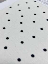 KKP8036-W-SB-321 BR×SD100d豚平針織物寬幅[布料] 小紋工房(宇仁纖維) 更多照片