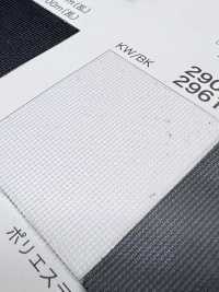 2900 [裡料] 更多照片