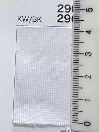 2900 [裡料] 更多照片