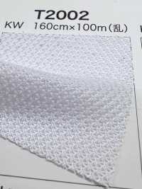 T2002 [裡料] 更多照片