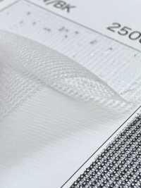 2050M [布料] 更多照片