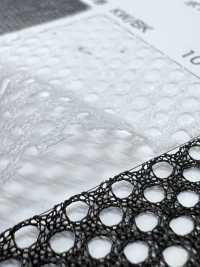 7070H [裡料] 更多照片