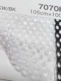 7070H [裡料] 更多照片