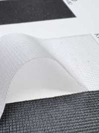 PM2900 [裡料] 更多照片