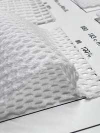 880 [裡料] 更多照片