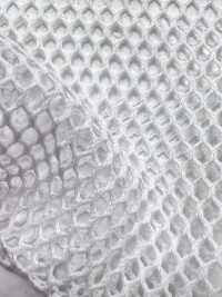 T800 [裡料] 更多照片