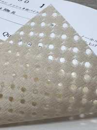 6400 [裡料] 更多照片