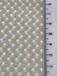 6400 [裡料] 更多照片