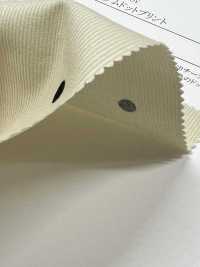 19190 燈芯絨隨機圓點圖案[布料] SUNWELL 三維爾 更多照片