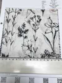 7027-500-3 50朵巴里紗絲狀花[布料] HOKKOH北高 更多照片