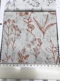 7027-500-3 50朵巴里紗絲狀花[布料] HOKKOH北高 更多照片