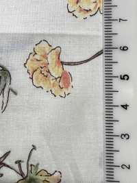 7027-640-5 80精紡細布植物[布料] HOKKOH北高 更多照片