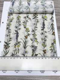 3027-650-1 60精紡細布條紋花[布料] HOKKOH北高 更多照片