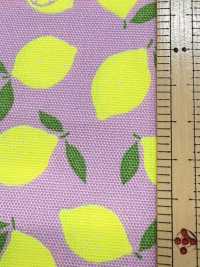 AP65103 螢光印花 牛津（整卷）[布料] Cosmo Textile 更多照片