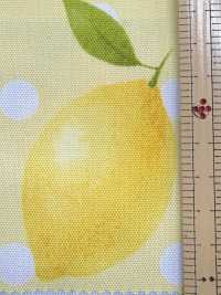 SP2650 Fruits Garden 牛津 (整卷)[布料] Cosmo Textile 更多照片