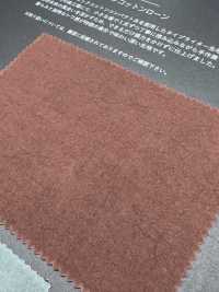 FJ6095 HIYORI 有機棉精梳細布[布料] Fujisaki Textile 藤崎纖維 更多照片