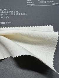 FJ3031 HIYORI 棉 羊毛 府綢[布料] Fujisaki Textile 藤崎纖維 更多照片