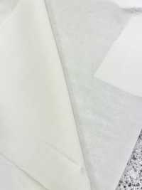 TC3600 【特價】TC 口袋裡料全季適用 更多照片