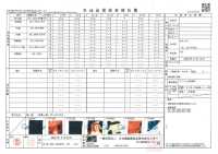 TPT1003 Iwami Kagura 印花裡料重複圖案 更多照片
