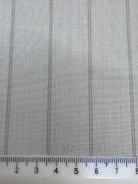 16CN1595 26SS VBC 維塔萊巴貝里斯 Canonico 熱帶[布料] 佳能 更多照片