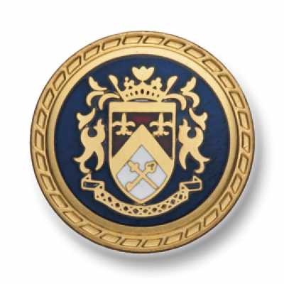 531 日本製 西裝・夾克用金屬鈕扣 金色/海軍藍